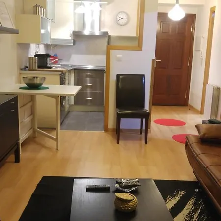 Apartamento 1 Habitación En Apartamento A Guarda